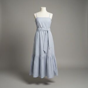 Banana Republic Light Blue Striped Midi Dress